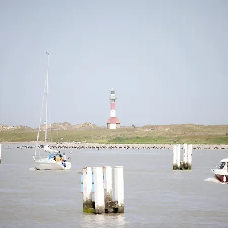 Apartment In Near The Sea , Cleaning Included Nieuwpoort
