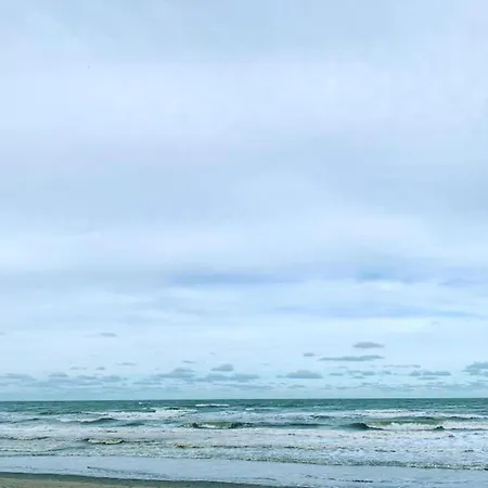 In Near The Sea , Cleaning Included